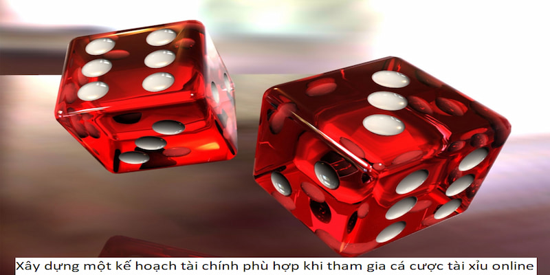 Có kế hoạch cụ thể về nguồn vốn để tham gia cá cược hiệu quả hơn