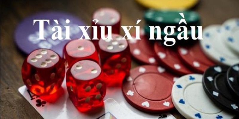 Dựa vào số lần lắc xí ngầu để đọc vị chuẩn xác